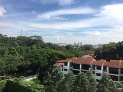 The Skywoods (D23), Condominium #162551912